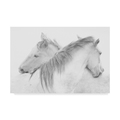 Trademark Fine Art Marie Anne Stas 'Two White Horses' Canvas Art, 30x47 1X07867-C3047GG